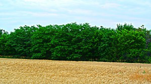 DSC_1689_2